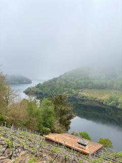 Casa Grande de Covas-Apartamentos Boutique Turísticos- Ribeira Sacra - 3