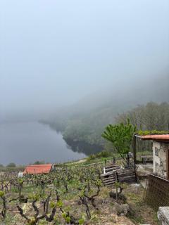 Casa Grande de Covas-Apartamentos Boutique Turísticos- Ribeira Sacra - 2