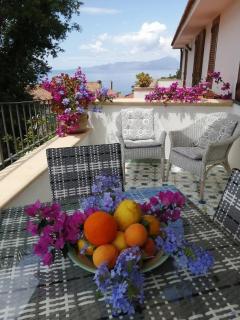 Casa vacanze - Villa Mirtilla - Sea View Terrace - 9
