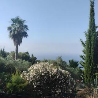 Villa Casablanca - 3