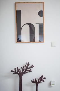 2 Bedroom Guest Apartment with Terrace - 4