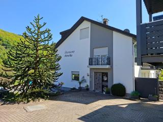 Pension Mosella, Gästezimmer - 9