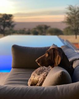 Bagatelle Kalahari Boutique Farmhouse Lodge - 1