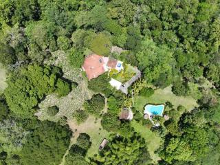 Finca La Verbena - The Sound of Nature - 7