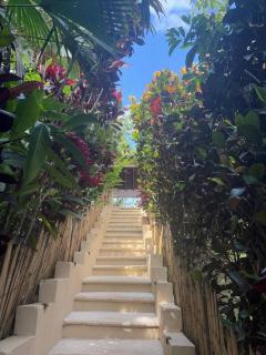 Finca La Verbena - The Sound of Nature - 3