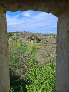 Les Mirabelles de Belvès - 2