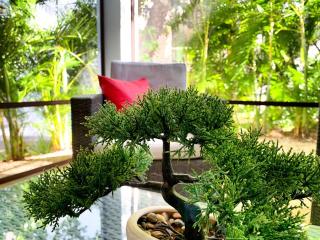 COZY AND SPACIOUS JUNGLE CONDO Located in TAO - 9