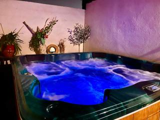 Villa 110m2, 7 pers, Jacuzzi , 3 chambres, terrain clos et arboré 2500m2 - 1