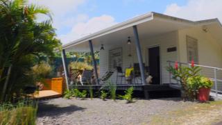 DADI'S LITTLE PARADIS - 9