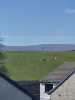 Coast to Coast Accom - Shap - 6