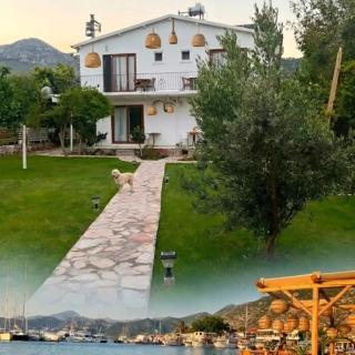 Selimiye Çapkını - 2