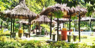 Flower Power Farm Village - Ko Phayam - 1