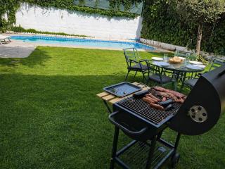 Luxury Villa Chalet with garden and private pool - 3