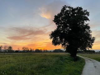 Affittacamere IL FAGIOLO MAGICO - 3