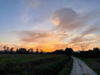 Affittacamere IL FAGIOLO MAGICO - 1