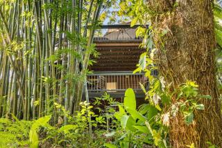 The Bamboo Base at Buderim - 8