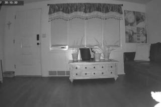 Pet Friendly 2 Bedroom Irwin Home with Fast WiFi Near Monroeville Convention Center and UPMC East - 8