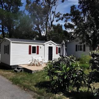 Village Camping De L'ostriconi 21 - 5