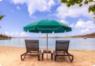Saint Thomas Villa with Ocean view - 4