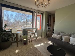 Kauniit yksiöt, 600m keskustaan, free park - 3