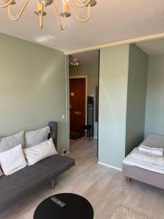 Kauniit yksiöt, 600m keskustaan, free park - 5