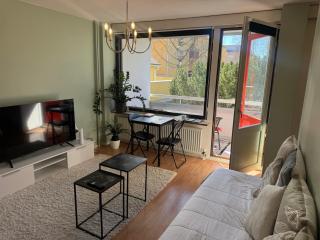 Kauniit yksiöt, 600m keskustaan, free park - 7