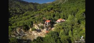 The Oasis Healing Resort - 5