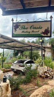 The Oasis Healing Resort - 3