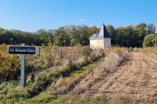 Le Grand Clos Marçon - 8