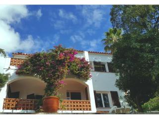 Mirador - 0