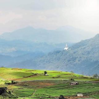 Kadiyanlena Eco Resort - 5