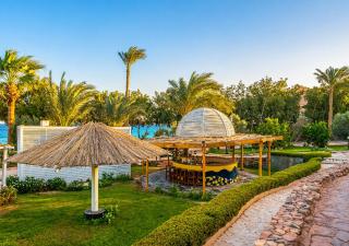 Tropitel Dahab Oasis - 5