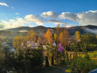 Noclegi Kamionka - 9