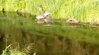 Ferienwohnung Mediterran - 35 M² - 1