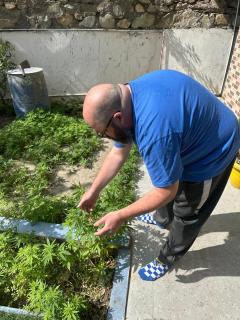 House of Brahma Kasol - 3