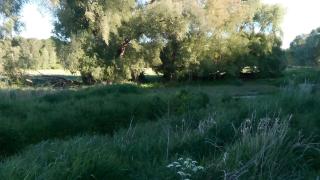 Ferienwohnung La Vida - 60 M² - 5