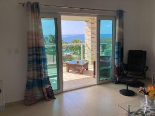 Exquisite Beachfront Penthouse 2bd 2ba - 1
