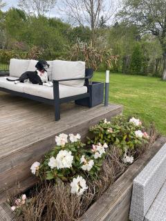 Domaine de La Vove - 4