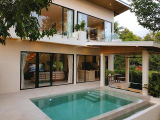 Banyan Cove 2 Story Pool Villa and Mountain Views - 1