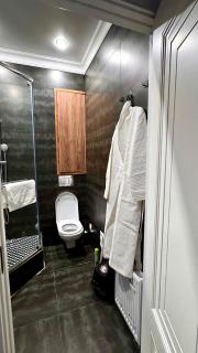 Comfortable 1-Bedroom Mini-Apartment for Two - 1