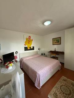 La casa nel verde - 6