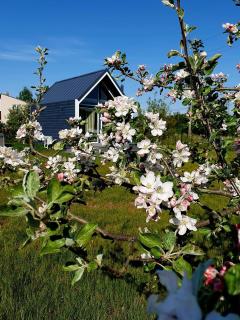 Villa Melli with hot tub and sauna - 1