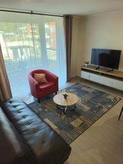 Lindo departamento en Puerto Varas - 9