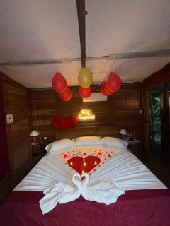 Glamping finca la fortuna - 1