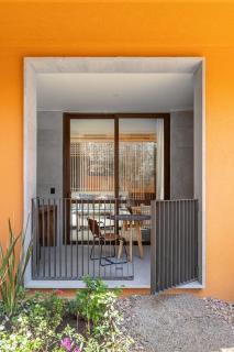 Clevia, San Miguel de Allende, Autograph Collection - 5