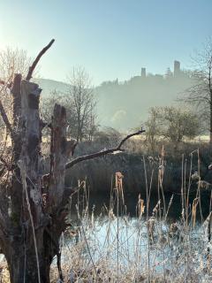 Ferienwohnungen Lausbuben & Zicken - im grünen Herzen Deutschlands - 7