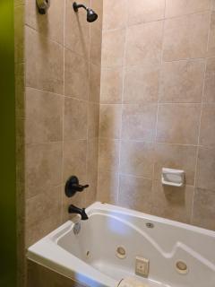 Natchez Manor Bed & Breakfast - 4