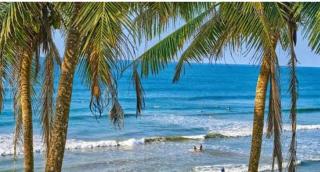 The brun & browns - 4