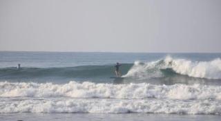 The brun & browns - 3