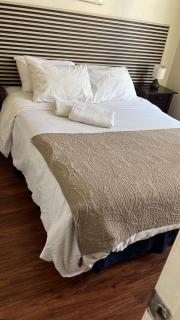 Dpto a Pasos del Palacio de la Moneda - 0